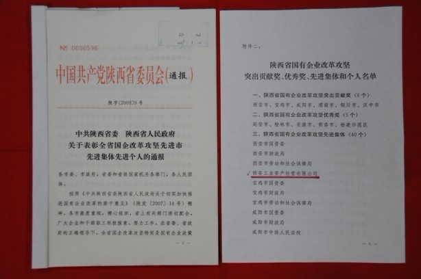 2009年2月，被陜西省委、省政府授予陜西省國有企業改革攻堅先進集體